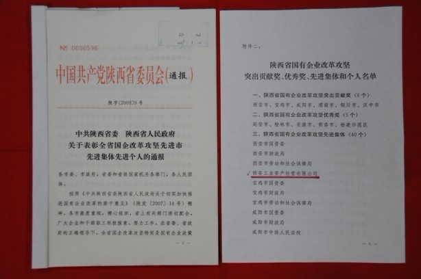 2009年2月，被陜西省委、省政府授予陜西省國有企業改革攻堅先進集體